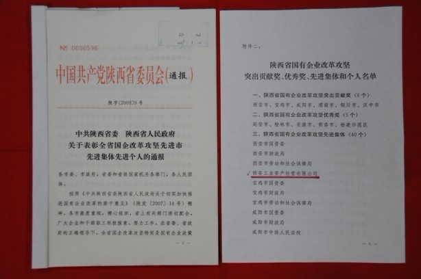 2009年2月，被陜西省委、省政府授予陜西省國有企業改革攻堅先進集體